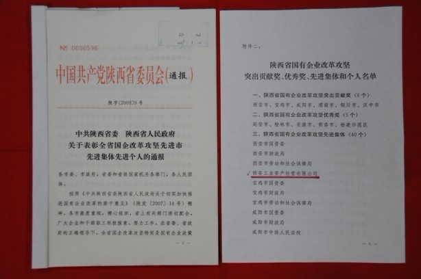 2009年2月，被陜西省委、省政府授予陜西省國有企業改革攻堅先進集體